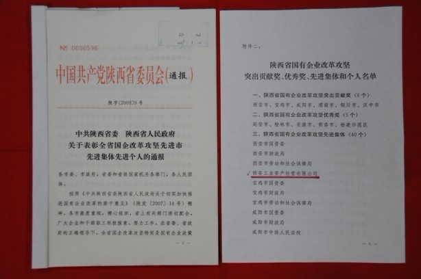 2009年2月，被陜西省委、省政府授予陜西省國有企業改革攻堅先進集體